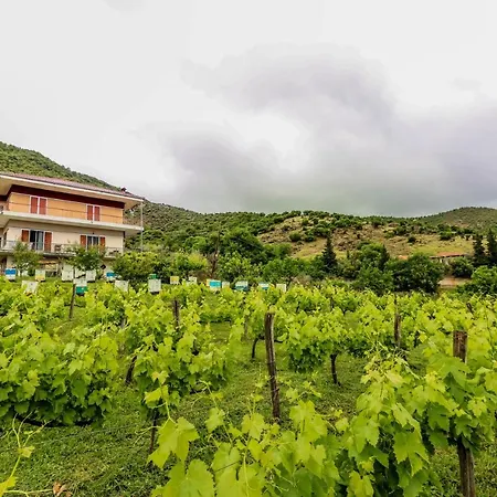 Country 20 Min From Trikala Apartment Genesi