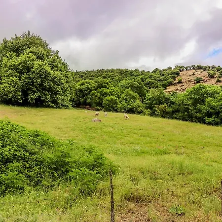 Διαμέρισμα Country 20 Min From Trikala *
