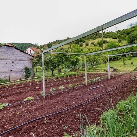 Country 20 Min From Trikala * Genesi