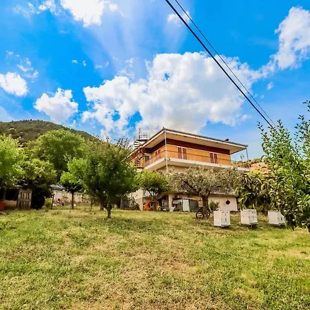 Country 20 Min From Trikala Daire *