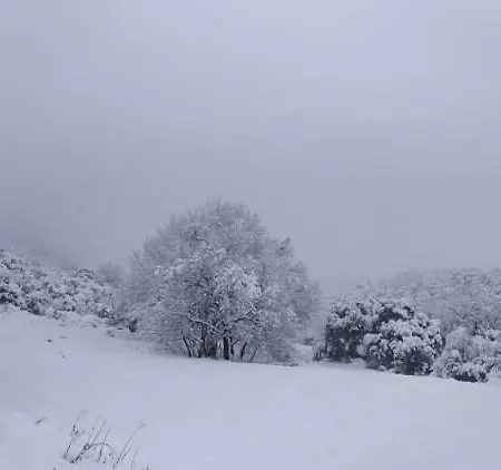 Country 20 Min From Trikala *