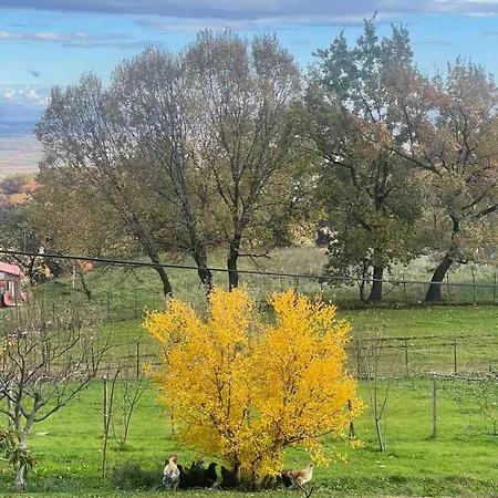 Country 20 Min From Trikala Daire Genesi