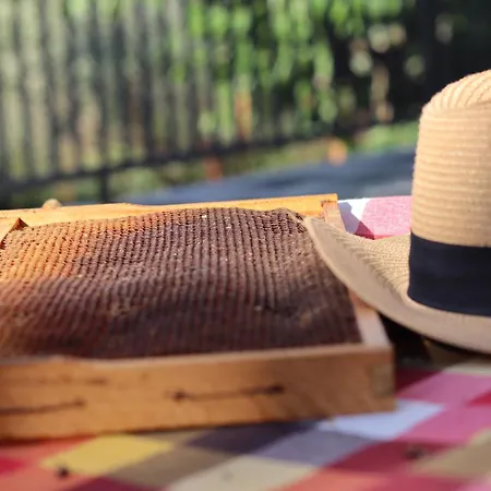 Apartment Country 20 Min From Trikala *