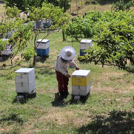 Apartment Country 20 Min From Trikala *