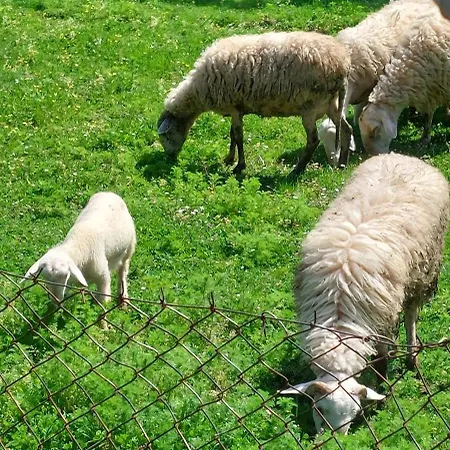 Country 20 Min From Trikala * Genesi