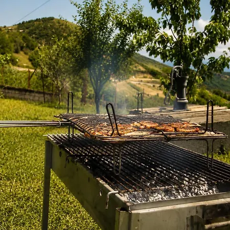 Country 20 Min From Trikala Daire *
