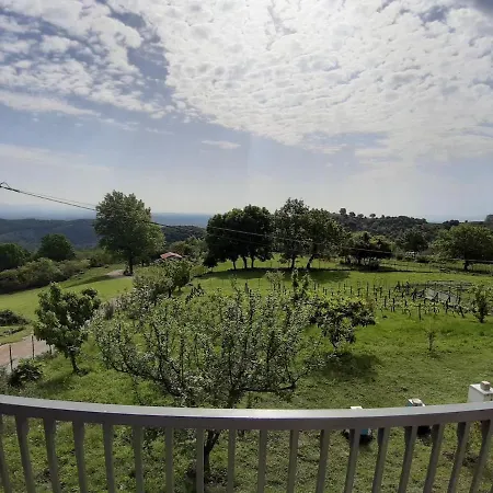 Country 20 Min From Trikala