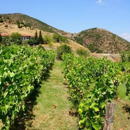 Country 20 Min From Trikala