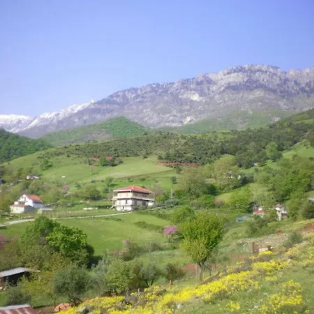 Country 20 Min From Trikala