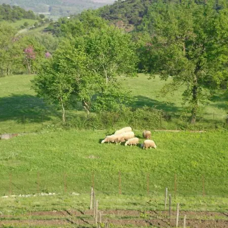 Country 20 Min From Trikala * Genesi