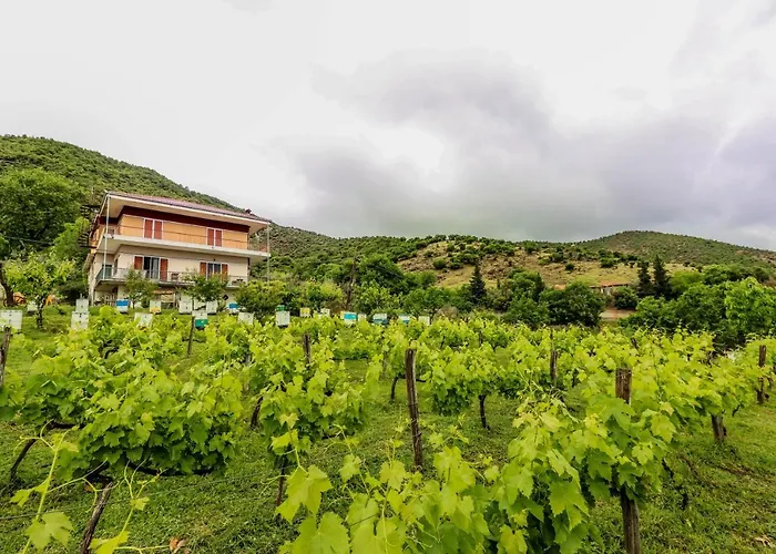 Country 20 Min From Trikala アパート Genesi