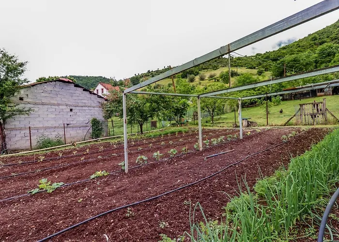 Country 20 Min From Trikala * Genesi