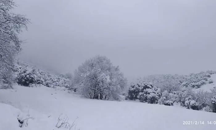 Country 20 Min From Trikala *