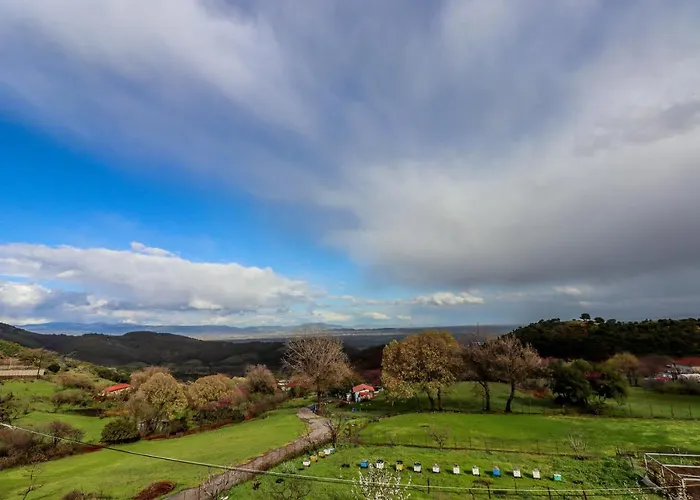 Country 20 Min From Trikala アパート