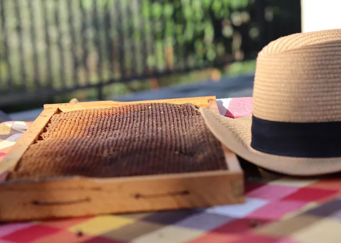 アパート Country 20 Min From Trikala *