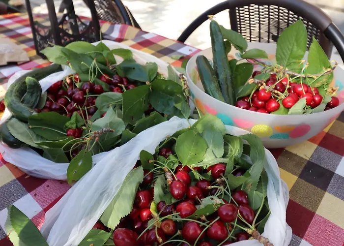 Country 20 Min From Trikala アパート Genesi