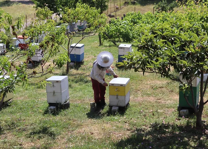 アパート Country 20 Min From Trikala *