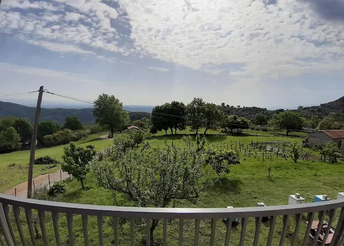 Country 20 Min From Trikala