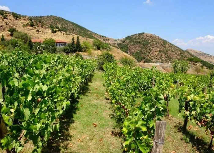 Country 20 Min From Trikala