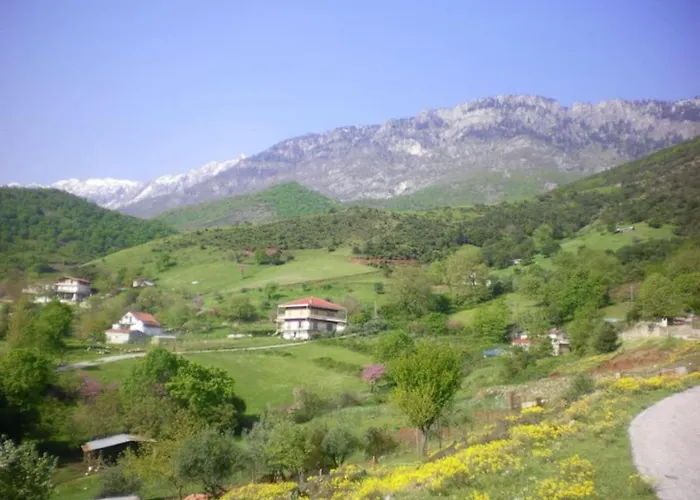 Country 20 Min From Trikala