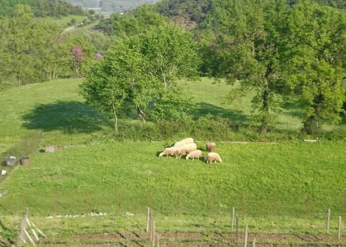 Country 20 Min From Trikala * Genesi