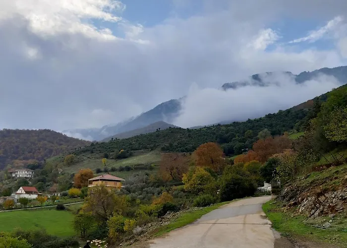 Country 20 Min From Trikala * Genesi